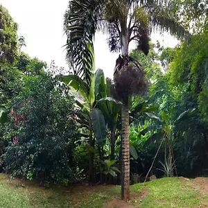 La Nature Appartement